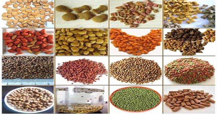 Dog Food Machinery Equipment
